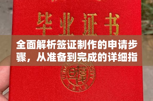 关庙全面解析签证制作的申请步骤，从准备到完成的详细指南